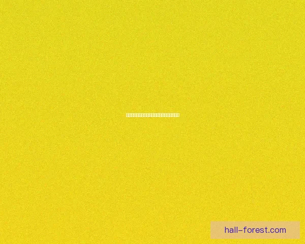 地下城与勇士散打职业全面解析与玩法技巧指南